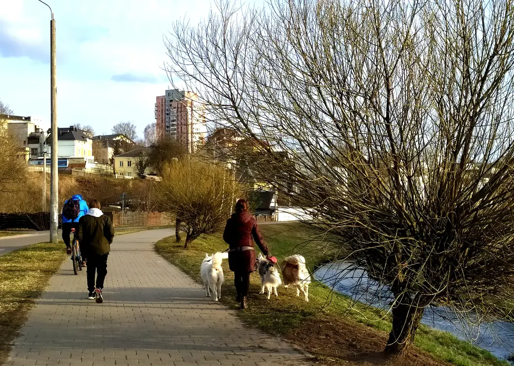 11.04.2022 Могилев, набережная реки Дубровенка. Излюбленное место для пеших и вело-прогулок могилевчан, а также для выгула домашних питомцев. На данной фотографии три