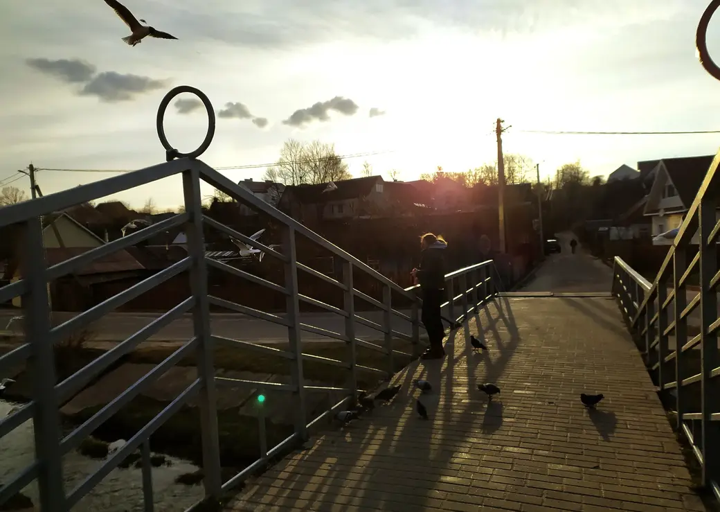 11.04.2022 Могилев, набережная Дубровенки. Девушка кормит птиц... Чайки пытаются сорвать куш налету, а вот голуби топчутся под ногами и собирают остатки.