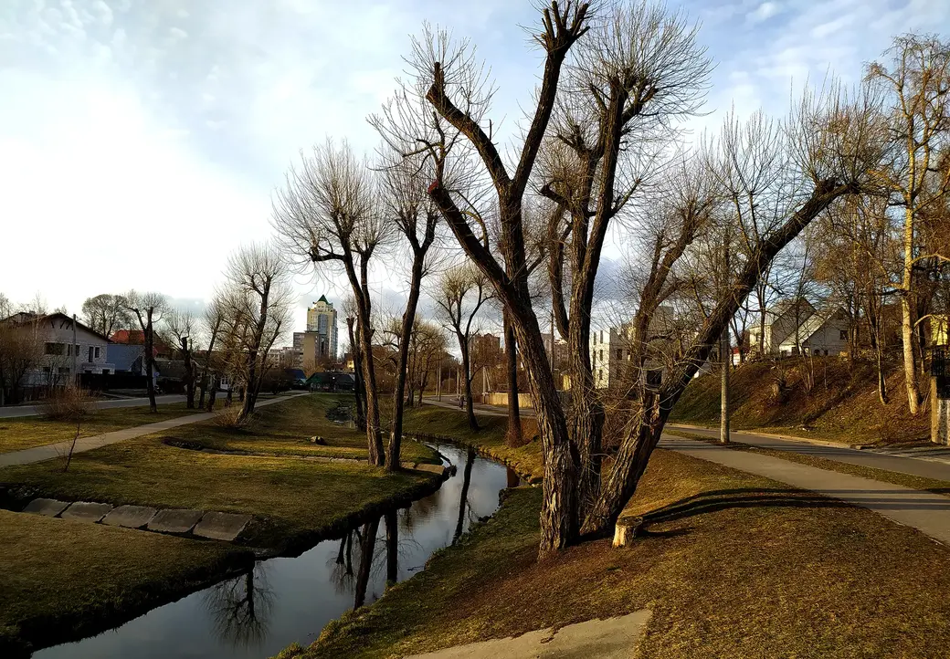 11.04.2022 Могилев, набережная Дубровенки. Помню эти ивы с ветвями до самой земли.
