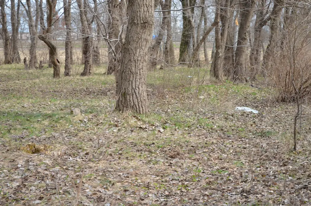 Фото: УВД Могилевского облисполкома