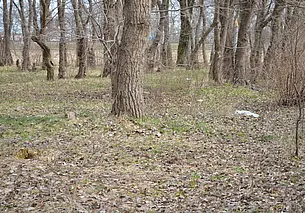 В Бобруйске нашли тело новорожденного