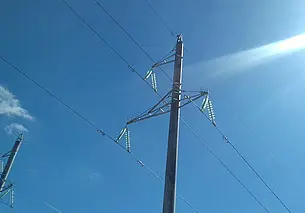 «Могилевэнерго» установит в этом году около 4 тыс. противоптичьих заградителей