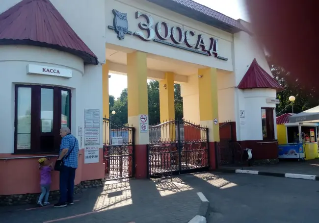 В Могилевском зоосаде поселились камерунские козы