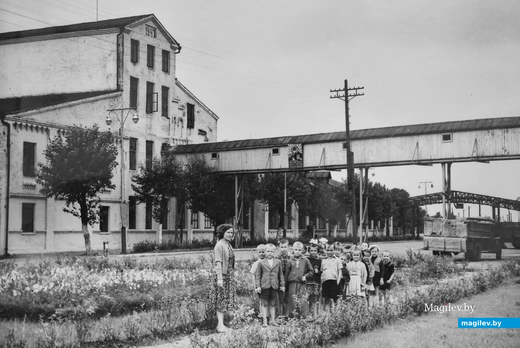 Архивные фотографии Бобруйского винзавода 60-х годов ХХ века. (Бобруйский завод виноградных