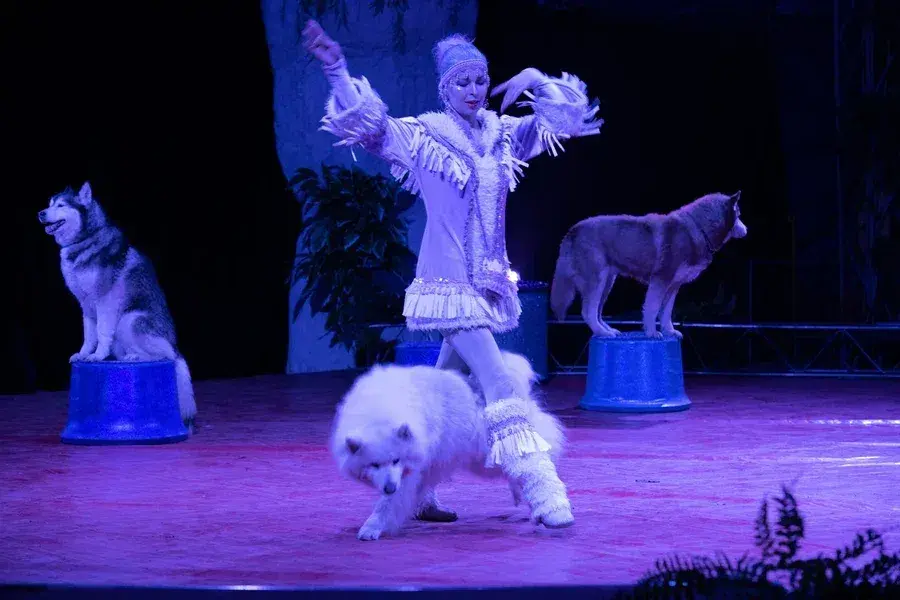 24.04.2022 г. Артисты цирка-шапито Sirius дают представление в Могилеве