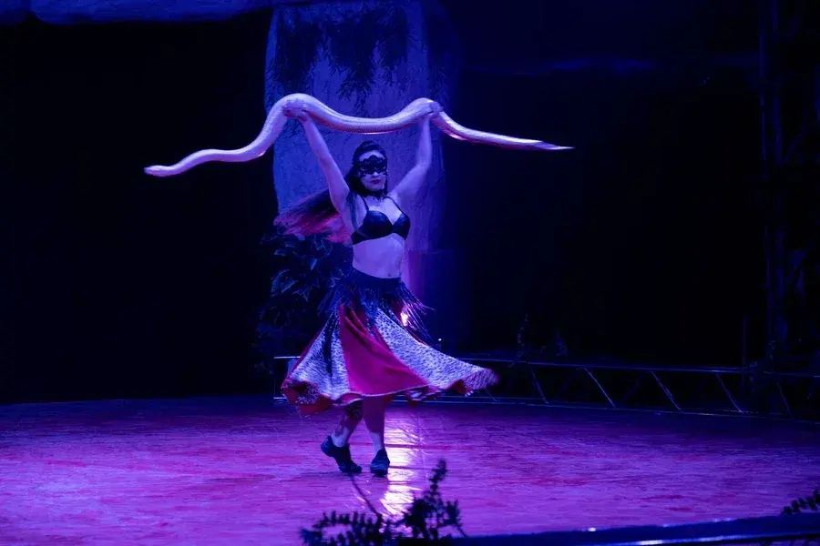 24.04.2022 г. Артисты цирка-шапито Sirius дают представление в Могилеве