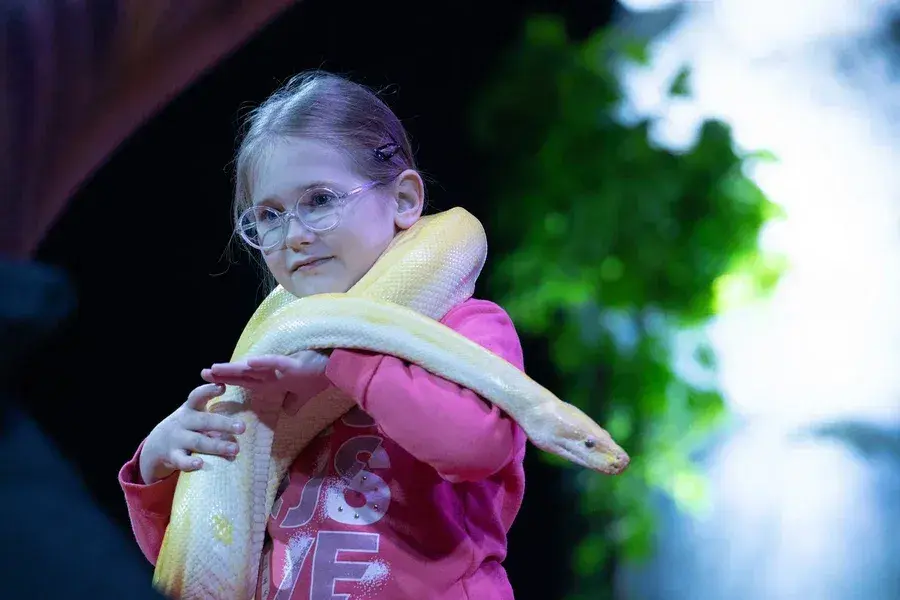 24.04.2022 г. Артисты цирка-шапито Sirius дают представление в Могилеве