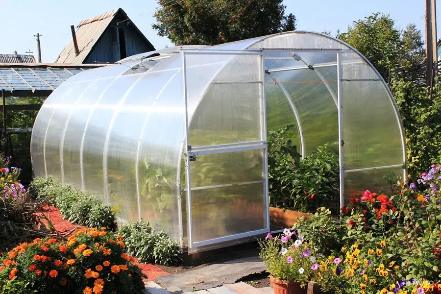 Фото носит иллюстративный характер