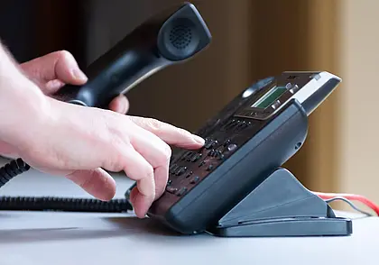 Минлесхоз в августе запускает горячую телефонную линию по вопросам наведения порядка в лесу