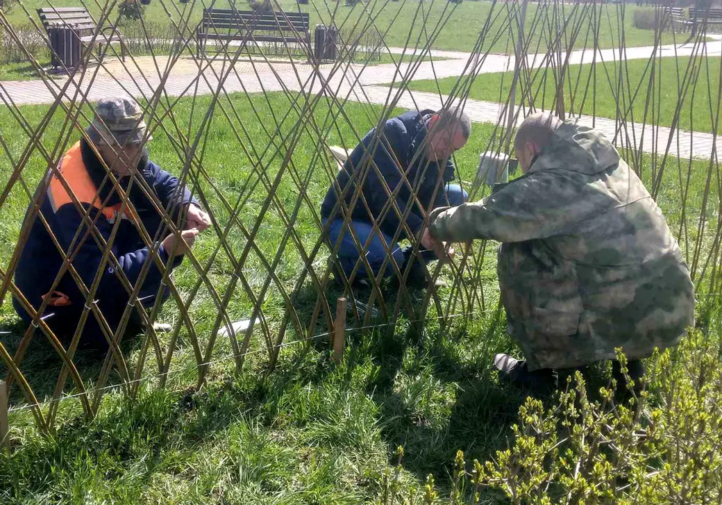 Создание живой изгороди в парке Подниколья Могилева. Апрель 2022 год.
