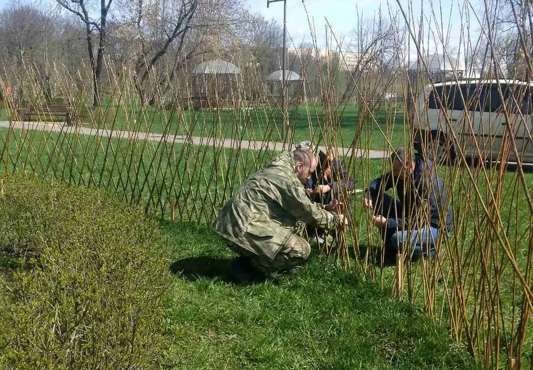 Создание живой изгороди в парке Подниколья Могилева. Апрель 2022 год.