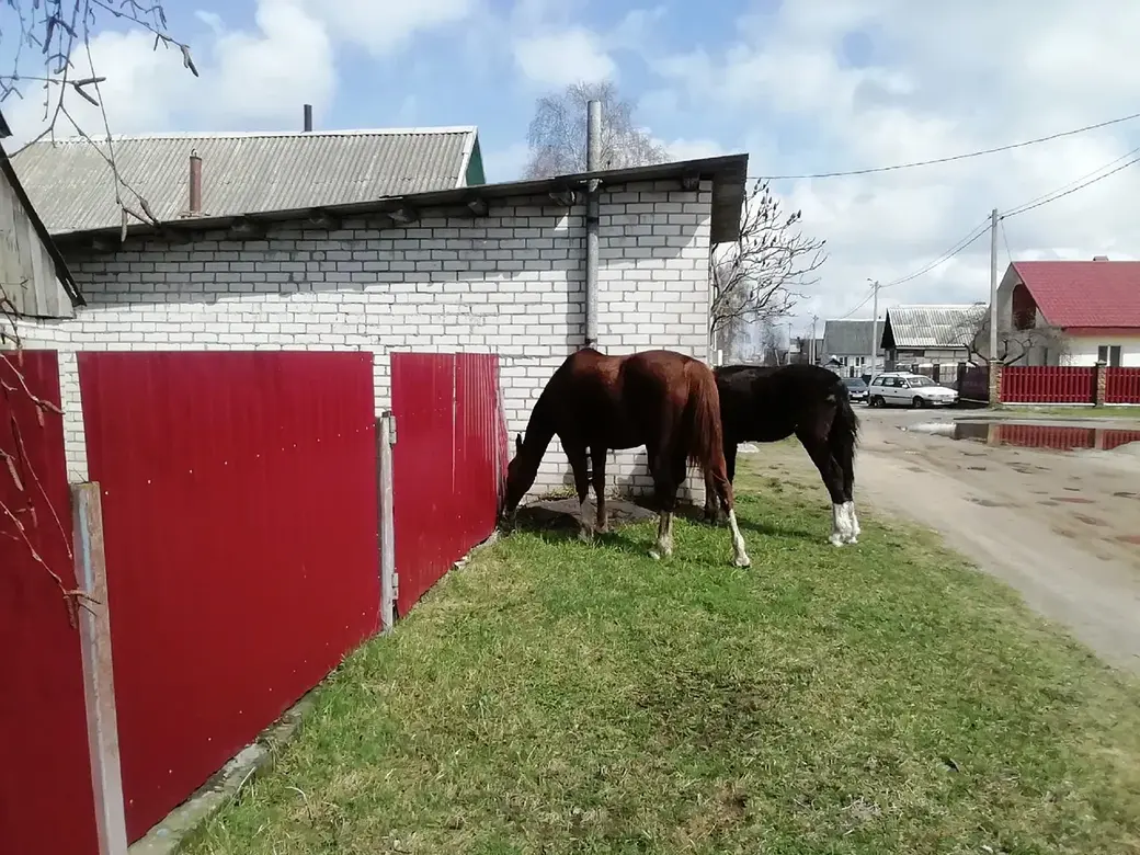 Гребенево. Могилев. Апрель 2022 года