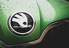 Продлен запрет на ввоз в Беларусь продукции Skoda, Liqui Moly и Beiersdorf