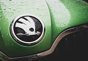 Продлен запрет на ввоз в Беларусь продукции Skoda, Liqui Moly и Beiersdorf