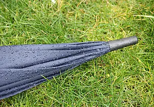 Какой будет погода в Беларуси в праздничные выходные: тепло, но дождливо