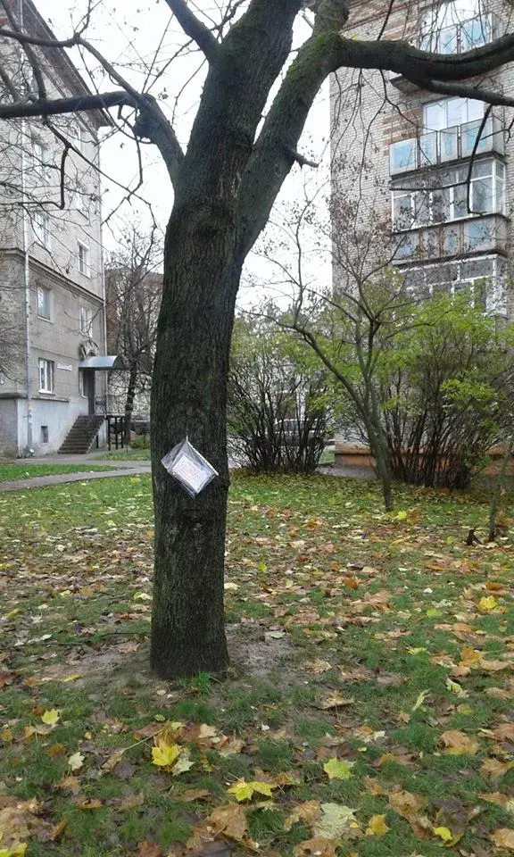 Дерево Марата Фарберова с подарком.