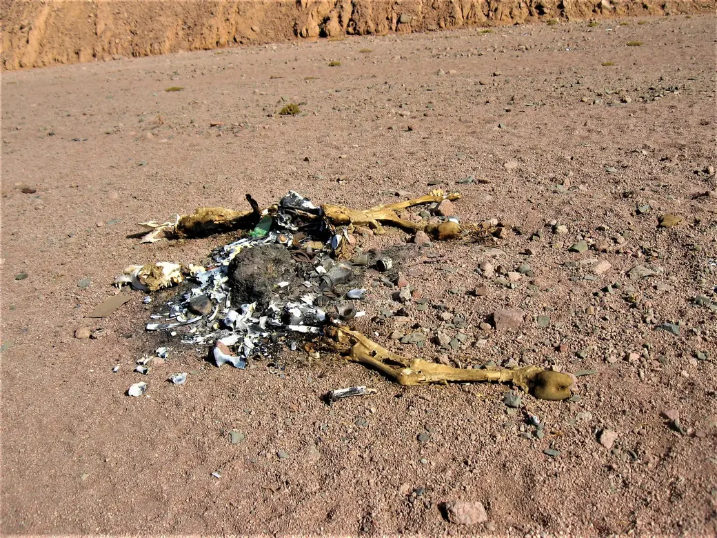 Жизнь– штука суровая. Между Дахабом и Блю Холл.