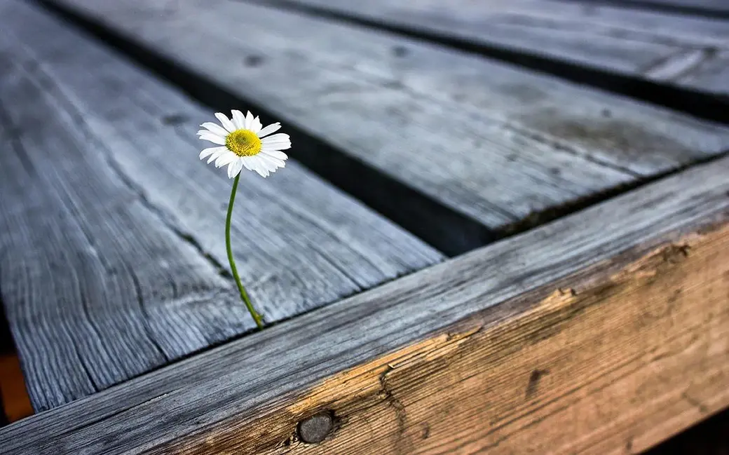 Фото Нелли Зигули для выставки «Между солнцем и землей»