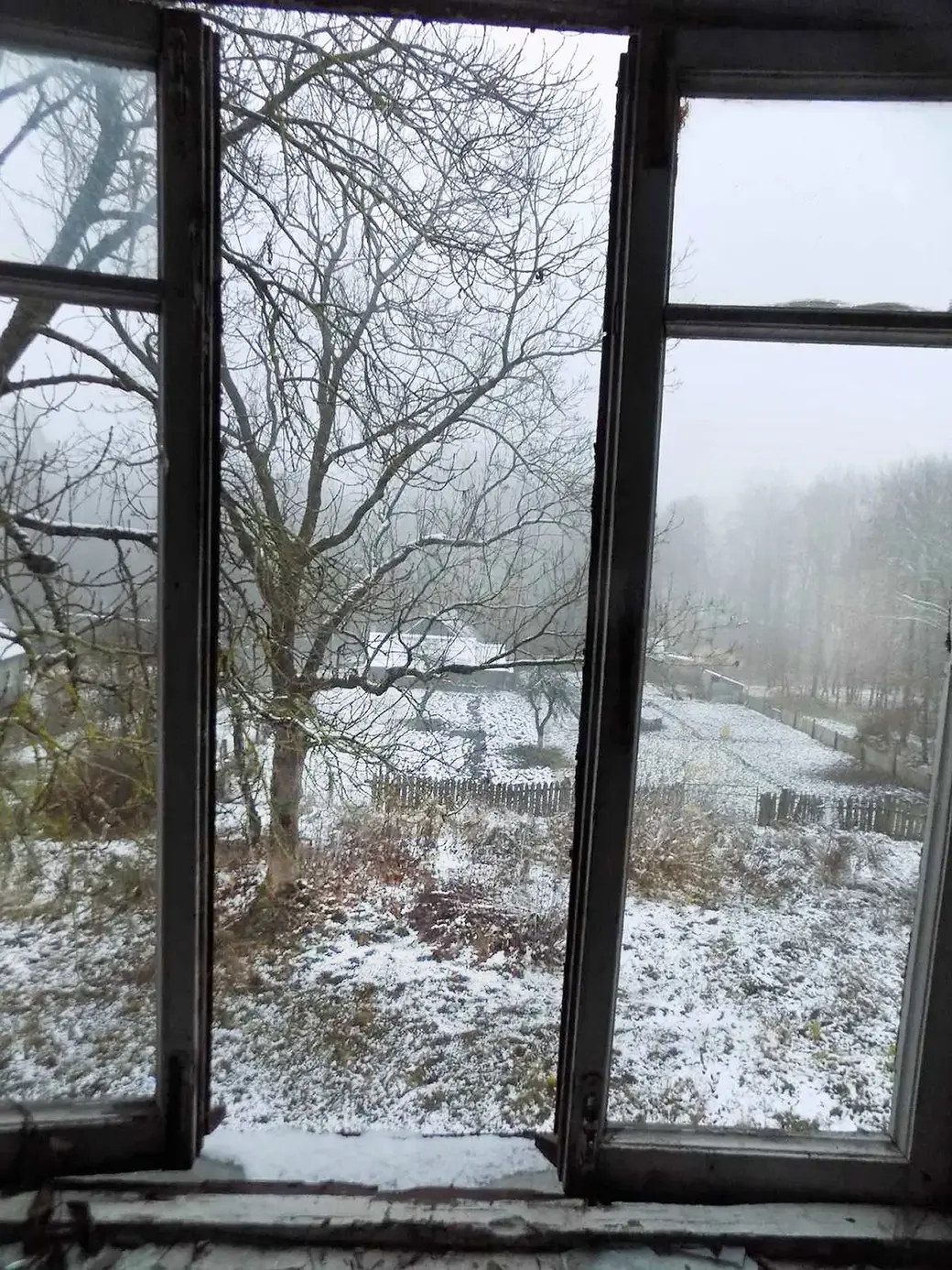 Фото Нелли Зигули для выставки «Между солнцем и землей»