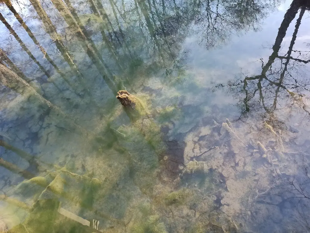 Фото Нелли Зигули для выставки «Между солнцем и землей»