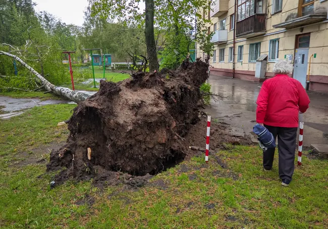 Белорусский синоптик не исключил ураганы и аномальную жару до конца лета