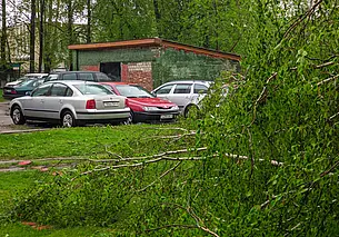 И вновь – оранжевый уровень опасности: что белорусам ждать от погоды 25 июля