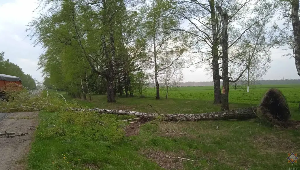 12.05. 2022 г. Фото: МЧС