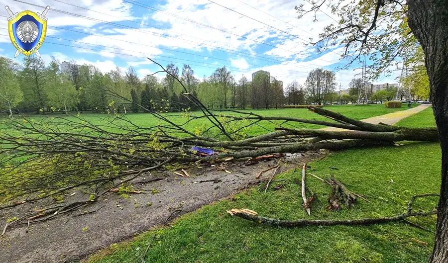 12.05.2022 г. Минск. На женщину упало дерево, она погибла