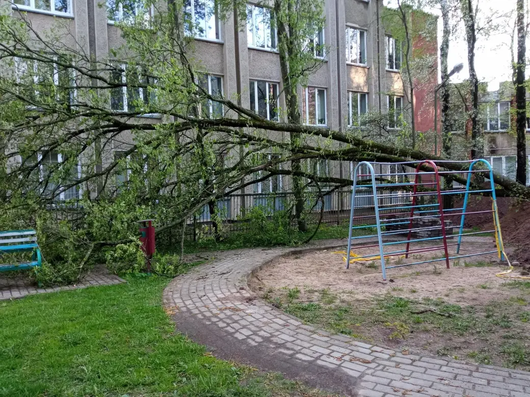 Во время непогоды 12 мая в Могилеве и области повалило деревья. И не только  (дополнено) | magilev.by