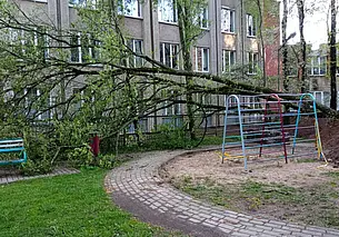 Во время непогоды 12 мая в Могилеве и области повалило деревья. И не только (дополнено)