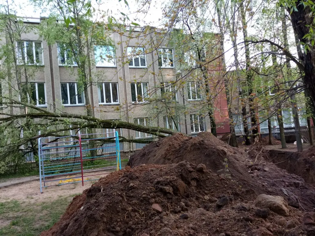 Во время непогоды 12 мая в Могилеве и области повалило деревья. И не только  (дополнено) | magilev.by