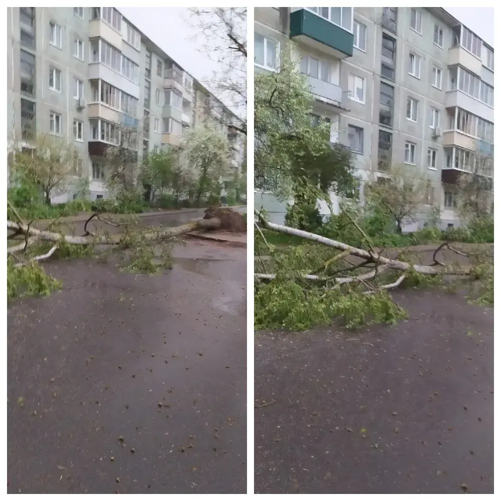 12.05. 2022 г. Могилев, Юбилейный. Фото: Могилев Live