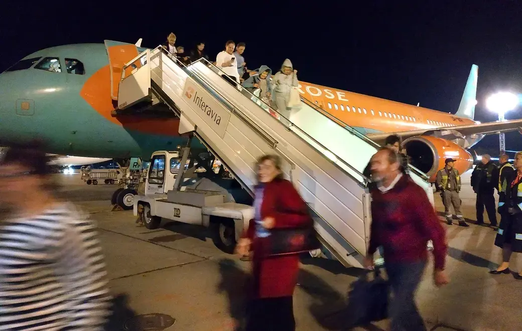 Одна из работ Нелли Зигули