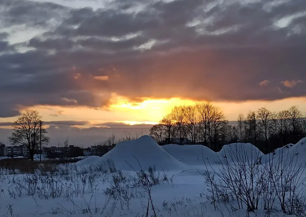 Одна из работ Нелли Зигули