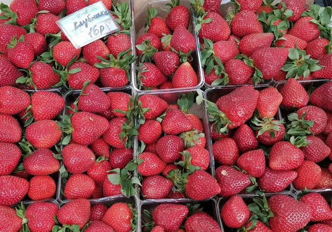 Что почем? Появилась первая клубника в Могилеве