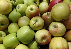 Можно ли в Могилеве сдать излишки яблок? Спрашивает читательница