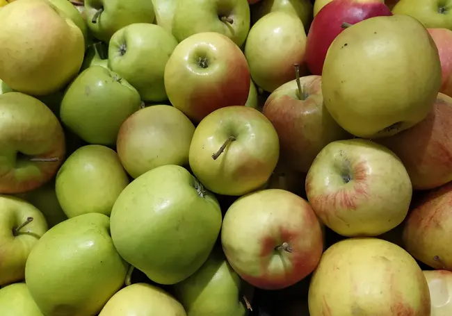 Можно ли в Могилеве сдать излишки яблок? Спрашивает читательница