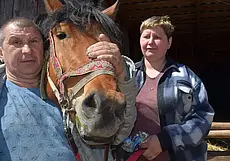 «Разве я мотоблок поглажу и поговорю с ним?» Как супруги в городе держат лошадь для души, езды и приработка