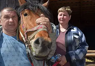 «Разве я мотоблок поглажу и поговорю с ним?» Как супруги в городе держат лошадь для души, езды и приработка