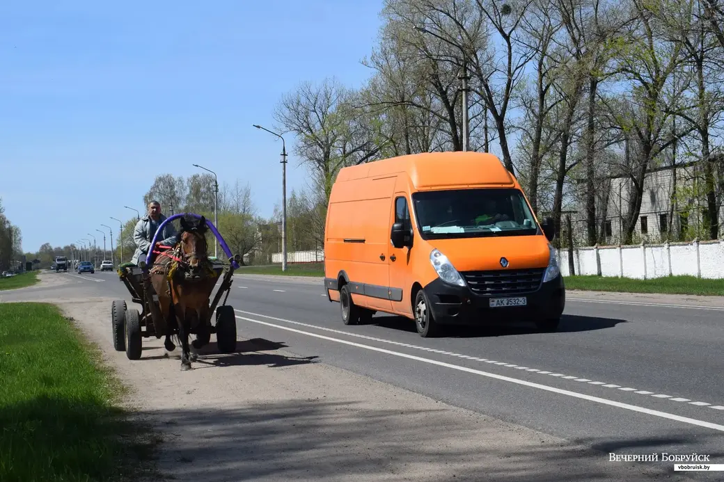 5.05.2022 г. Бобруйск. Домашнее животное – конь. Вместо мотоблока и автомобиля, для души