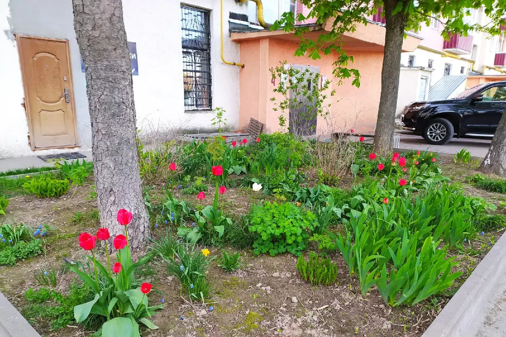 Могилев, Пушкинский проспект. Газон у дома 18.