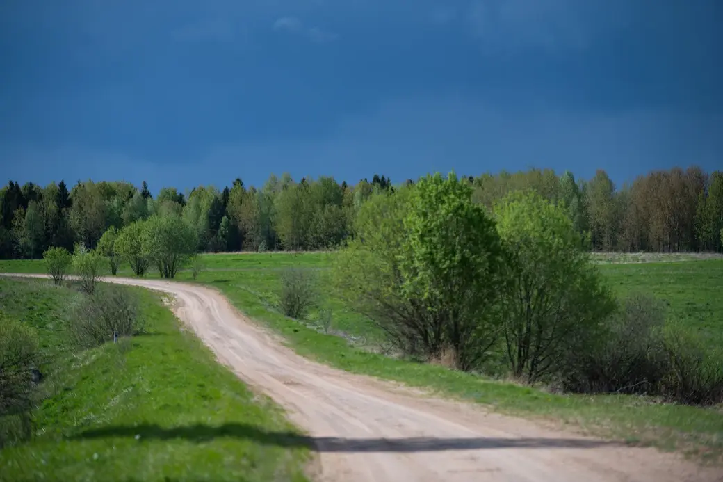 Май, 2022 г. По дороге в д.Галузы Чаусского района