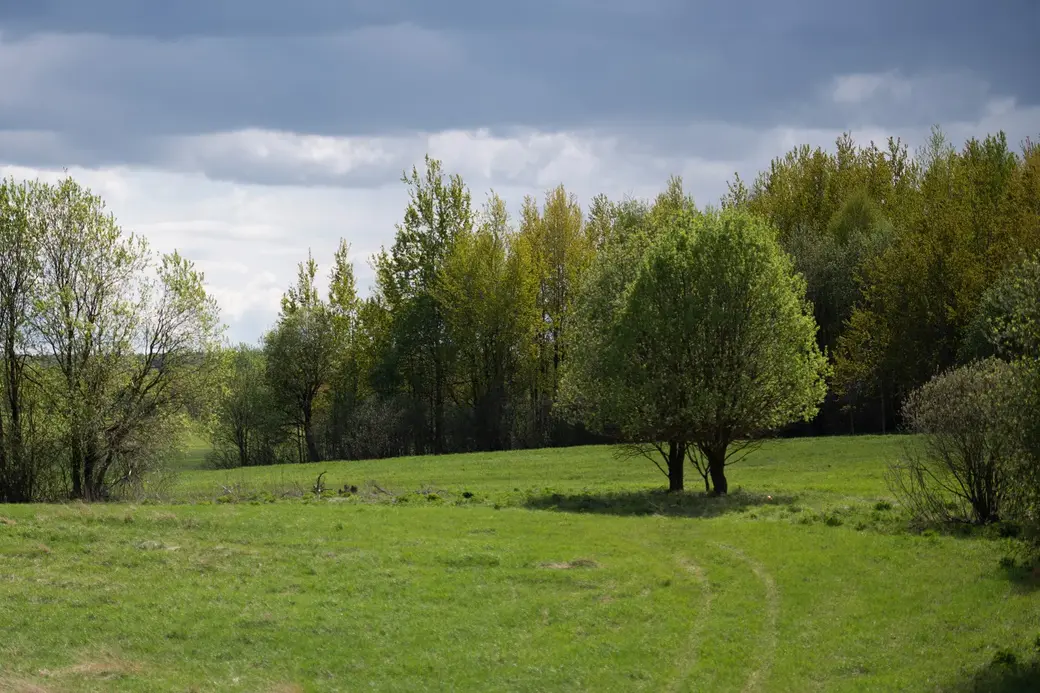 Май, 2022 г. По дороге в д.Галузы Чаусского района