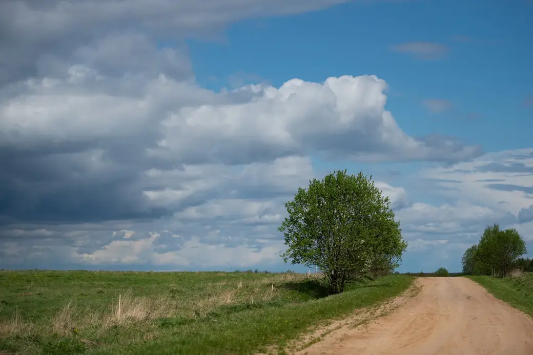 Май, 2022 г. По дороге в д.Галузы Чаусского района