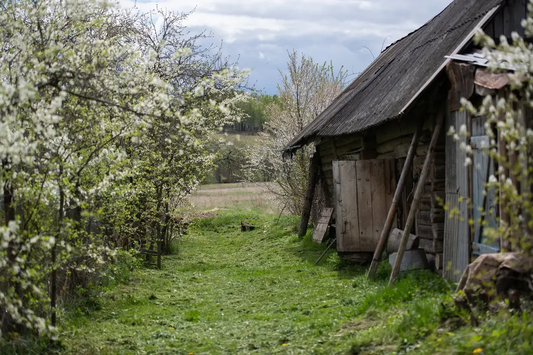 Май, 2022 г. В д.Галузы Чаусского района