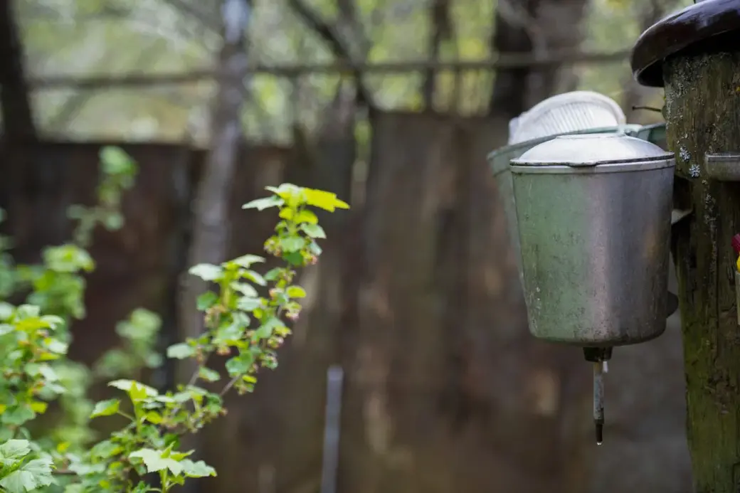 Май, 2022 г. В д.Галузы Чаусского района