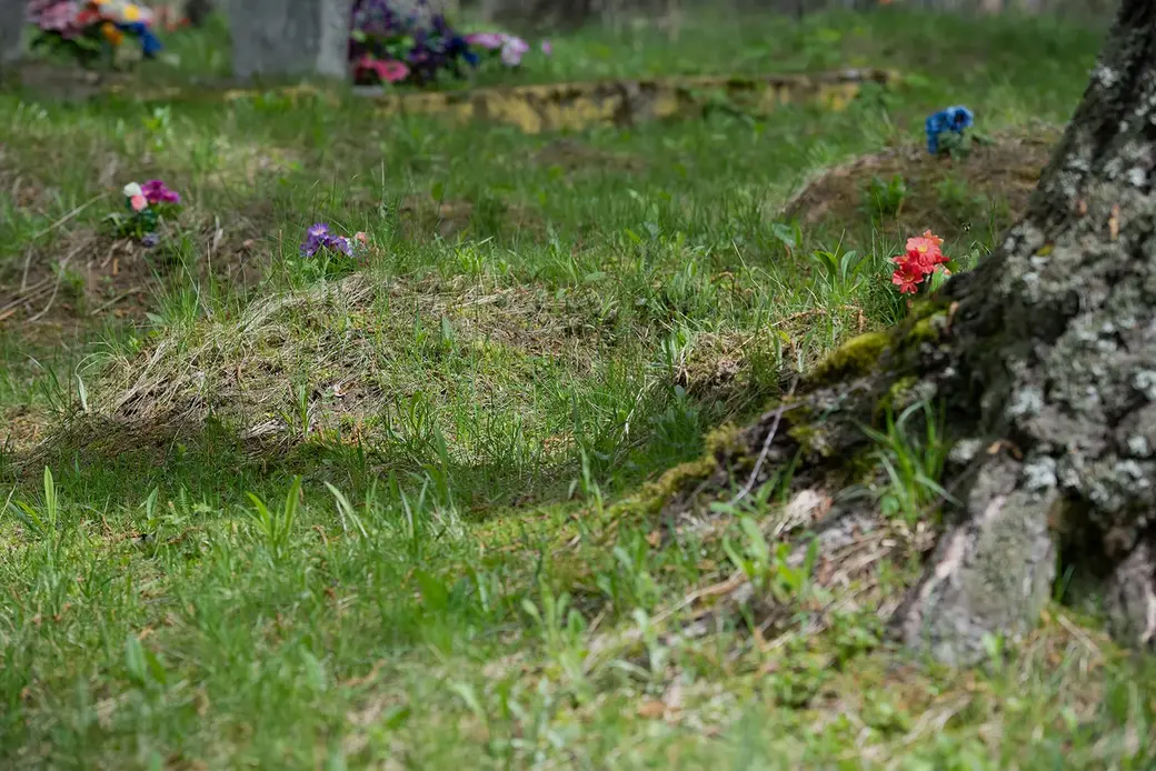 Кладбище в д. Галузы. Едва приметные холмики, обозначенные букетиками искусственных цветов – как память об умерших маленьких сестрах и брате