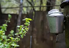 «Дневник моей жизни». История одной умирающей деревни