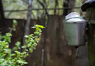 «Дневник моей жизни». История одной умирающей деревни