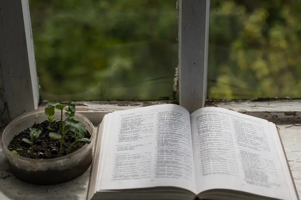 Книга «Память» Чаусского района